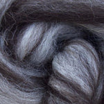 Jacob sheep Tops - Humbug