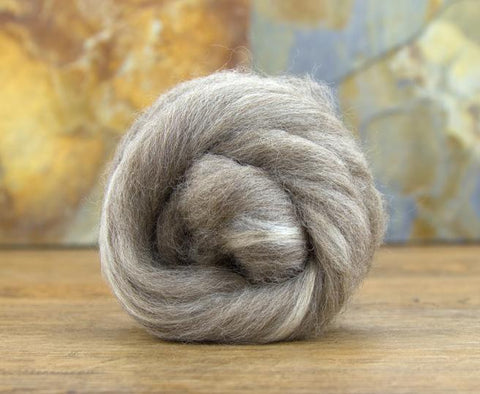 Oatmeal Blue Faced Leicester (BFL)/Bleached Tussah Silk Blended Tops